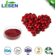 Manufactory supply Cranberry extract powder