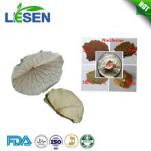 Lose weight Nuciferine 457-83-2