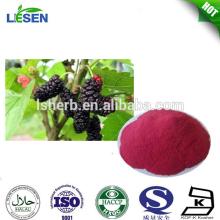 top natural Mulberry Fruit Extract/ Anthocyanidins/ Fruit powder
