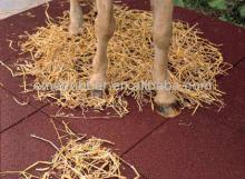 2013 NEW Stables for horses