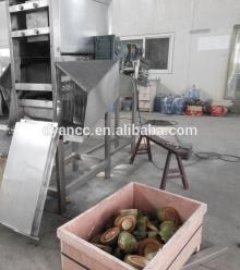 new designed  coconut   processing  machine