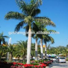 SJZZY artificial decorative large treee ,outdoor use artificial coconut tree