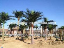 SJAZZY outdoor fake palnt and tree ,artificial decorative coconut tree