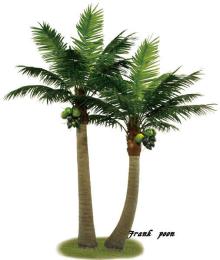 Hot sell Outdoor or indoor artificial coconut trees