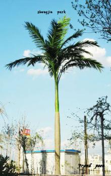 Fake/artificial King Coconut Tree for Ourdoor/ indoor  use
