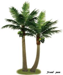  Artificial  tree/Fake plants,outdoor&indoor  artificial  coconut tree