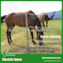 Dual input 12V battery powered horse  electric   fence  pastor,farm tool for  electric   fence 