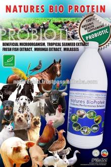 Organic Probiotic for Animal Health Supplement