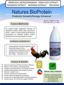 Natures Bio Protein Probiotics - Organic Probiotic for Animal Health  Supplement 