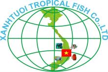  tropical   fish 