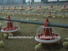 poultry  farm   equipment  for broiler chicken