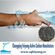 Coconut Shell based granular Activated Carbon for water purification