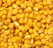 Corn