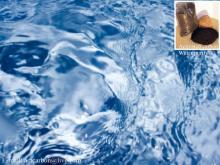 Water Treatment Purify Coconut Shell Granular Activated Carbon