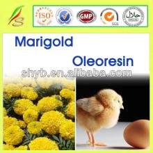  Feed   Grade  Food  Grade   Lutein  Marigold Oleoresin / 100% Pure & Natural Saffron Oil Suppliers From Chi