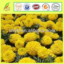 100% Natural Marigold Oleoresin / 100% Pure & Natural Saffron Oil Suppliers From Qingdao