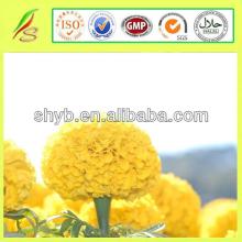 CAS 127-40-2 Best Quality Saffron Price