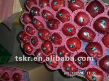 apple fruit types of red apples