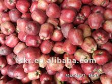 huaniu fruit market prices apple