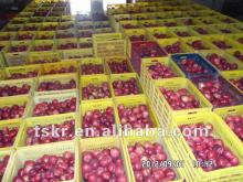 fruit prices of huaniu from china