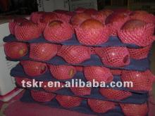 fresh fruits & vegetables red apple