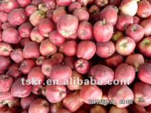fruit market prices apple from china