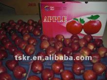 fruit vegetable green apple red apple
