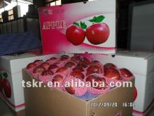 apple wholesale red apple fruit price