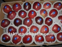 wholesale prices apple fruit of huaniu
