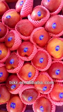 fresh fruits red delicious apples