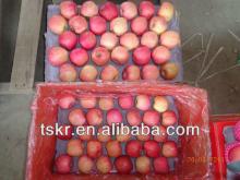  bag ged  apple  fruit fuji