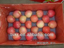 fresh  fruit s and  vegetables  qinguan apple
