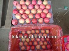 bagged apple fruit fuji fruit  market  prices apple