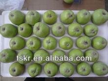 golden crisp apples non-bagged golden apples this year