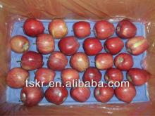apples fresh red huaniu apple from china