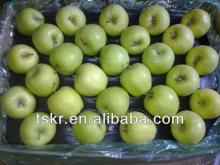 fresh apple of non-bagged golden apples this year