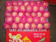 bagged apple fruit fuji  wholesale  fruit prices