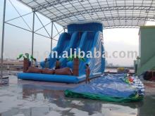 Coconut tree  water   slide 