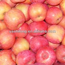 wholesale frozen fruits in lower price from China factory