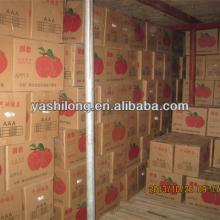 2014 frozen fruit tastes very delicious and sweet in better quality and famous in market now