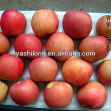 fruits rich vitamin d with good quality from Chinese apple fruit factory