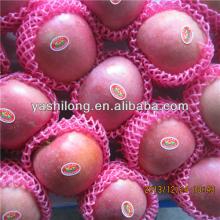 All kinds of fruits fresh export to the world in the lowest price From Apple fruit factory