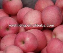 star   apple   fruit  fuji  apple  price in the lowest price from chinese factory