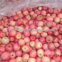chinese apple fruit market prices apple in malaysia