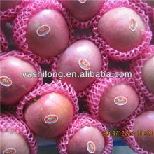 scientific name of all fruits which very delicious sweet in the lowest price from China