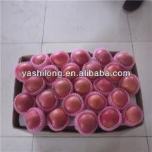  farm   fresh   fruit  from China manufacturer in the lowest price