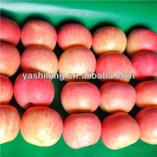 fresh  fruit s supplier  malaysia  from China apple manufacturer in the lowest price