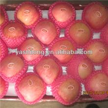 wholesale frozen fruits delicious red apple in the competitive price