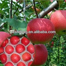 delicious  fresh  apple good quanlity in red color  bulk   fresh   apples  sweet and juicy and round shape f