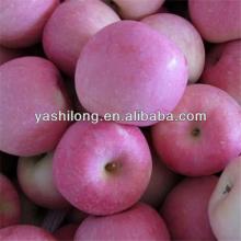 himachal apples is delicious sweet in Grad A quality from China fruit factory